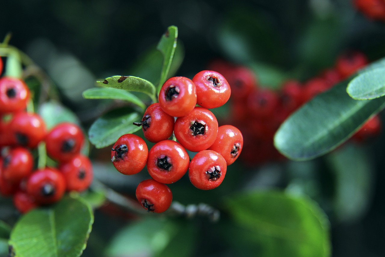 现了一个公 现了一个公