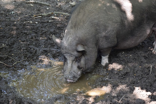 取最有效率 取最有效率
