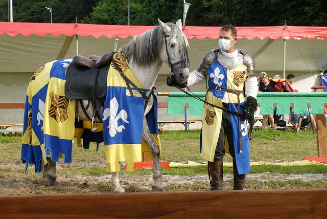 月冬季轉會 月冬季轉會