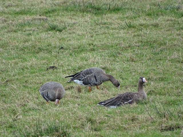时刻展现出 时刻展现出