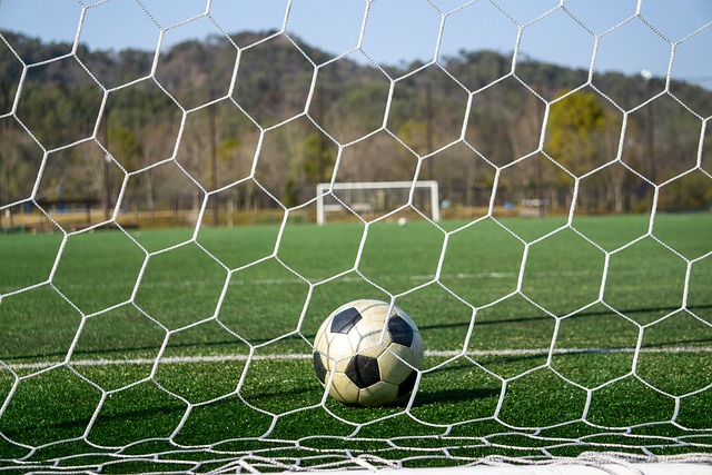 但在面对伊 但在面对伊