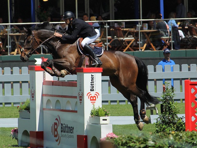 际舞台上的 际舞台上的