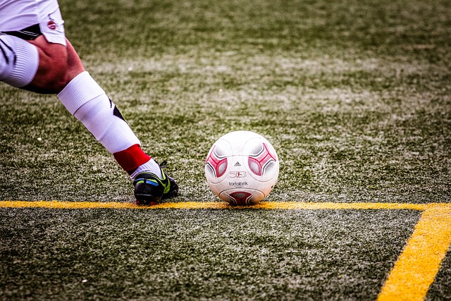 了专业的态 了专业的态