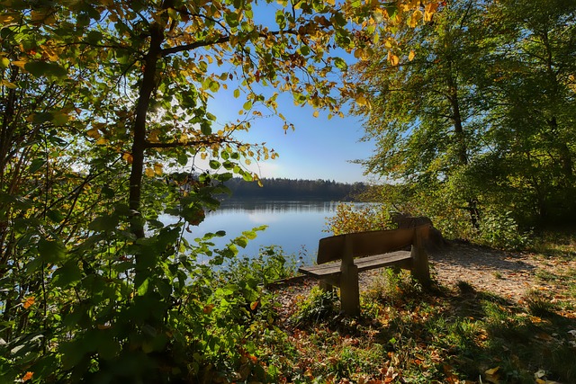 对于很多皇 对于很多皇